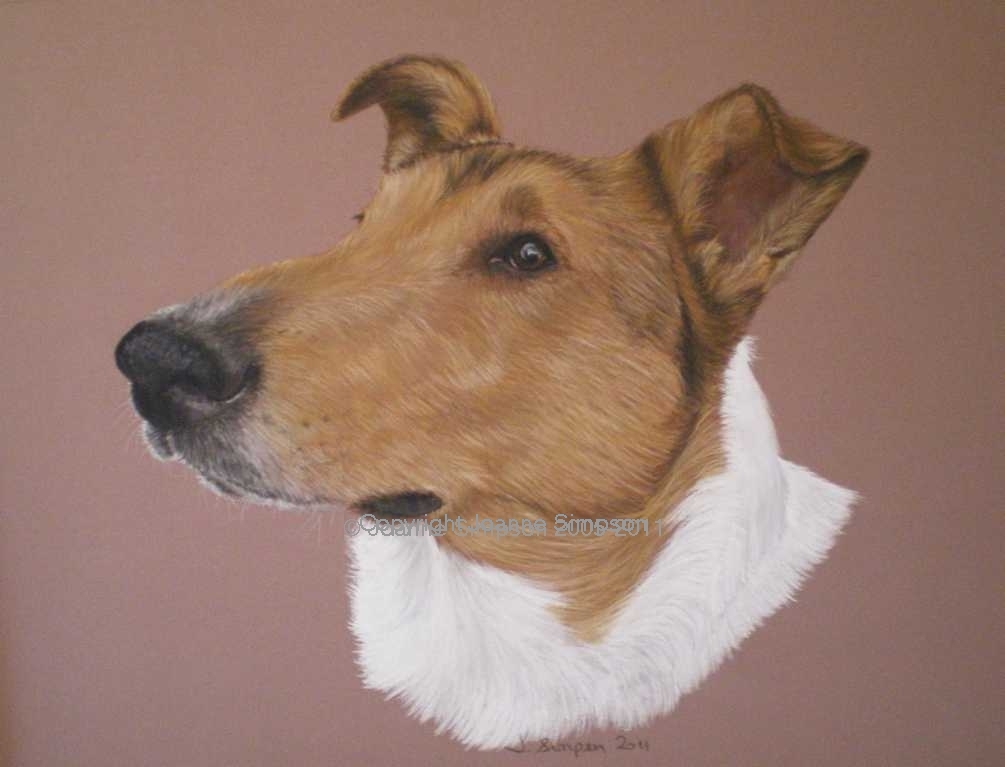Smooth haired Collie pet portrait by Joanne Simpson